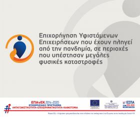 Ενημερωτικό spot για τη Δράση "Επιχορήγηση υφιστάμενων επιχειρήσεων που έχουν πληγεί από την πανδημία, σε περιοχές που υπέστησαν μεγάλες φυσικές καταστροφές" 